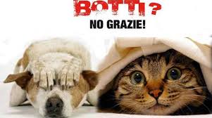 Buon anno nuovo ma attenti ai nostri amici...