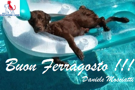 Buon Ferragosto! ! ! - Daniele Mosciatti